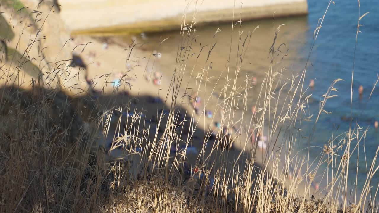 초점 샷, 절벽 근처의 마른 풀 파도, 포르투갈 알가르베에서 일광욕을 하는 해안선의 사람들의 아름다운 풍경, 배경에는 화창한 날