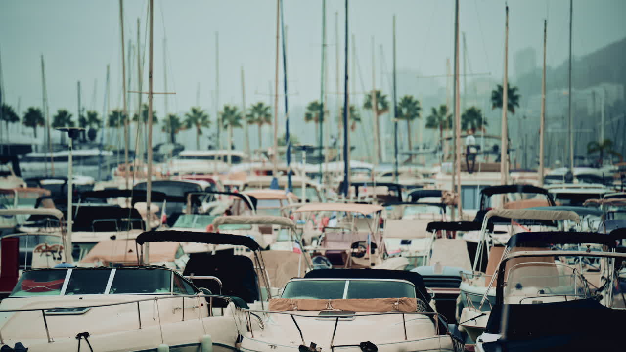 Front view of a modern motorboat docked in a busy marina filled with yachts, sailboats and palm trees in the hazy background of a coastal city