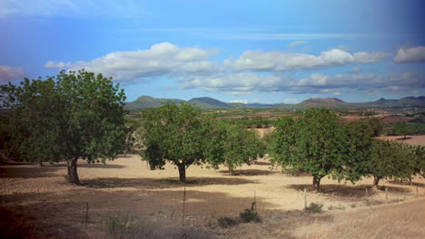 timelapse shows a tree arrangement in the foreground and mountains with gathering clouds in the background