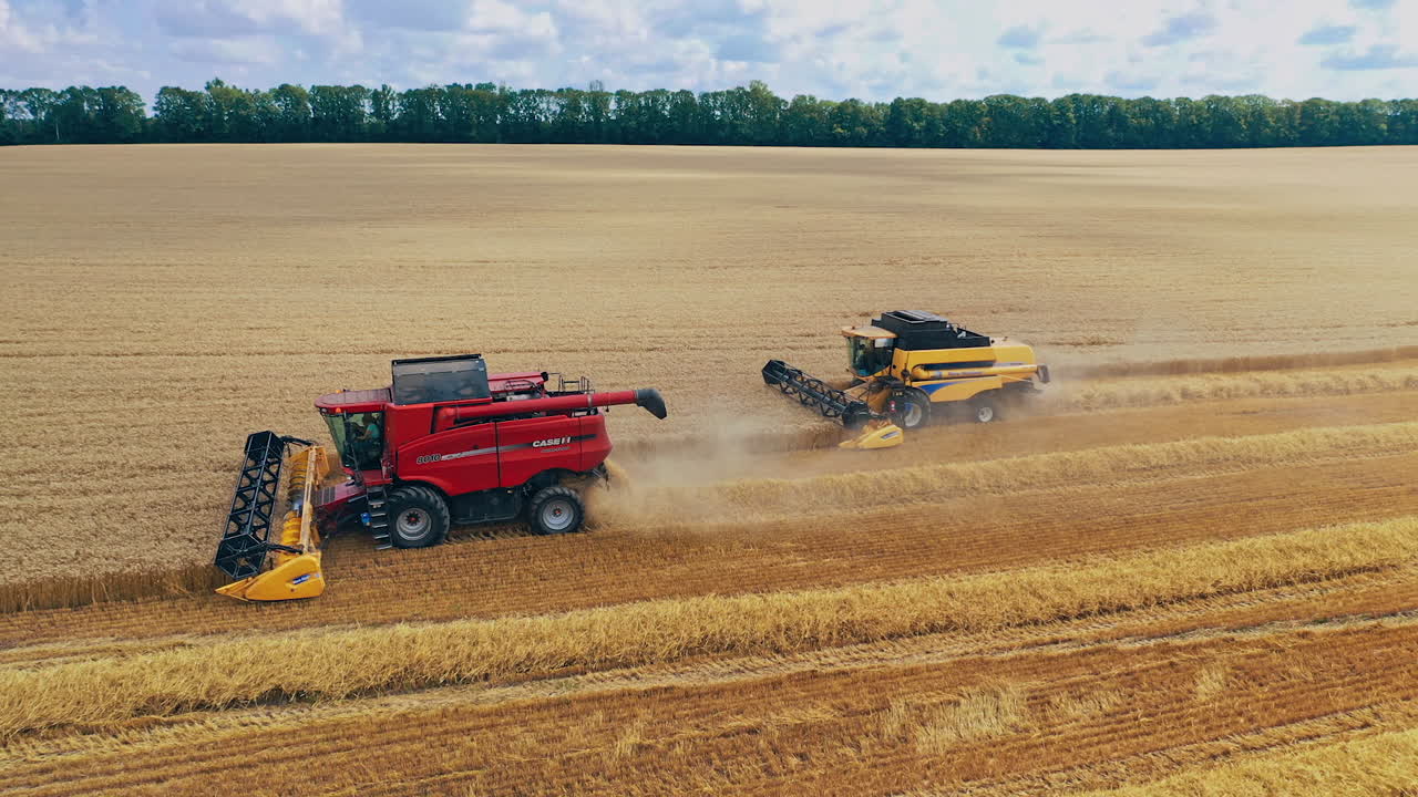 Modern machinery collecting ripe crop.Two combine harvesters working on a golden field in a bright summer day. Aerial view.