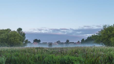 fog is creeping over the grass in the early morning hours in thetford, norfolk