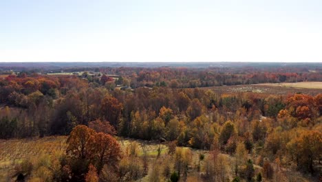 rural woodland and agricultural land flyover