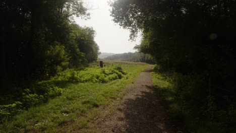 Extraweitwinkelaufnahme-Mit-Blick-Auf-Das-Carsington-Water-Valley-Vom-Dammweg-Aus