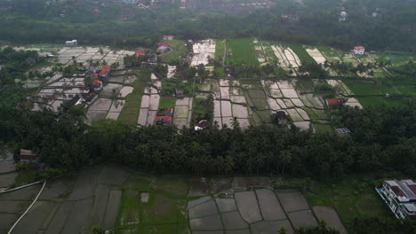Überflutete-Reisterrassen-Mit-Bescheidenen-Häusern-Drumherum-In-Ubud-Unter-Verschmutzter-Luft