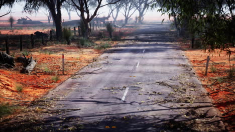 lonely road through outback