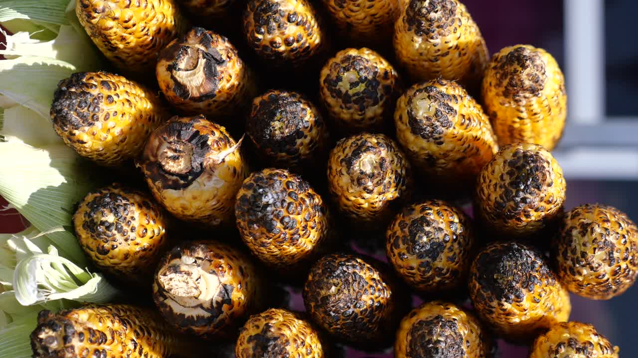 개 암 나무 열매에 구운 된 옥수수