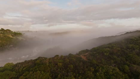 Drone-Volando-Sobre-La-Costa-Del-Algarve-Y-El-Bosque-En-Portugal-Envuelto-En-Niebla-Baja