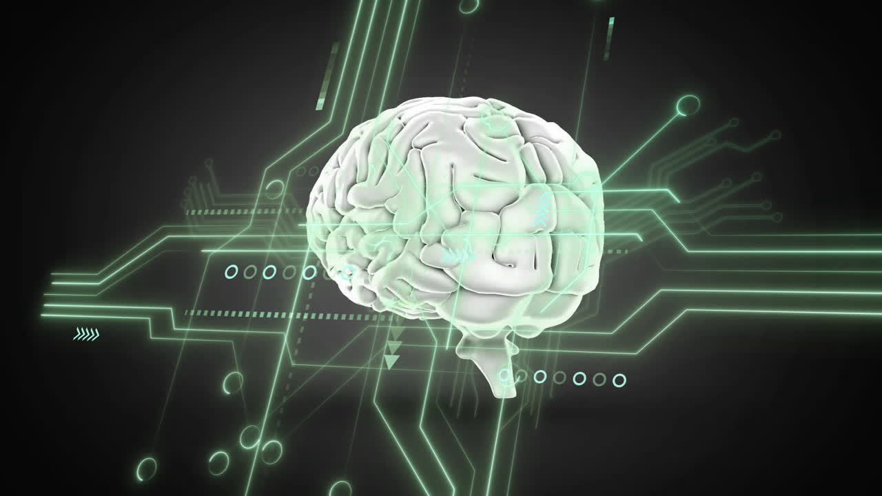 Human brain illustration with digital circuit and binary code animation
