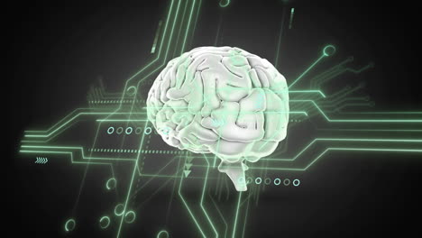 human brain illustration with digital circuit and binary code animation