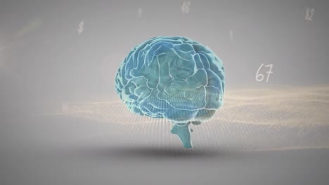 cerebro humano girando contra múltiples números y ondas digitales en fondo azul