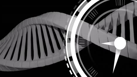 animation of clock moving over dna strand on black background