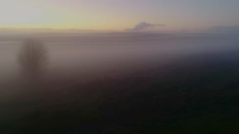 Un-árbol-Solitario-En-La-Niebla-En-Los-Páramos-Del-Norte-De-York,-Inglaterra-Al-Atardecer