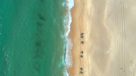 overhead view of horse expedition in the beach with people riding, above top down aerial, melides portugal