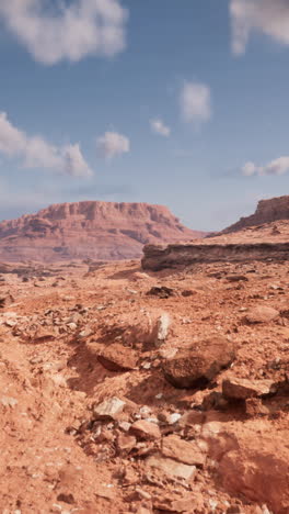 desert landscape with red rock mountains