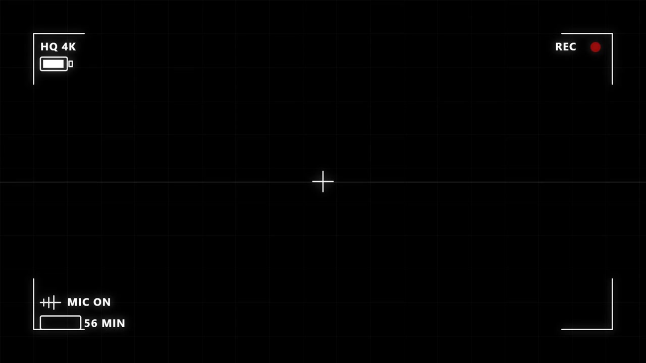 Digital Camera Viewfinder Overlay with Recording Interface