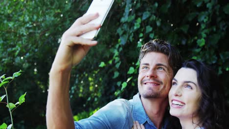 pareja romántica tomando una selfie desde un teléfono móvil en el parque
