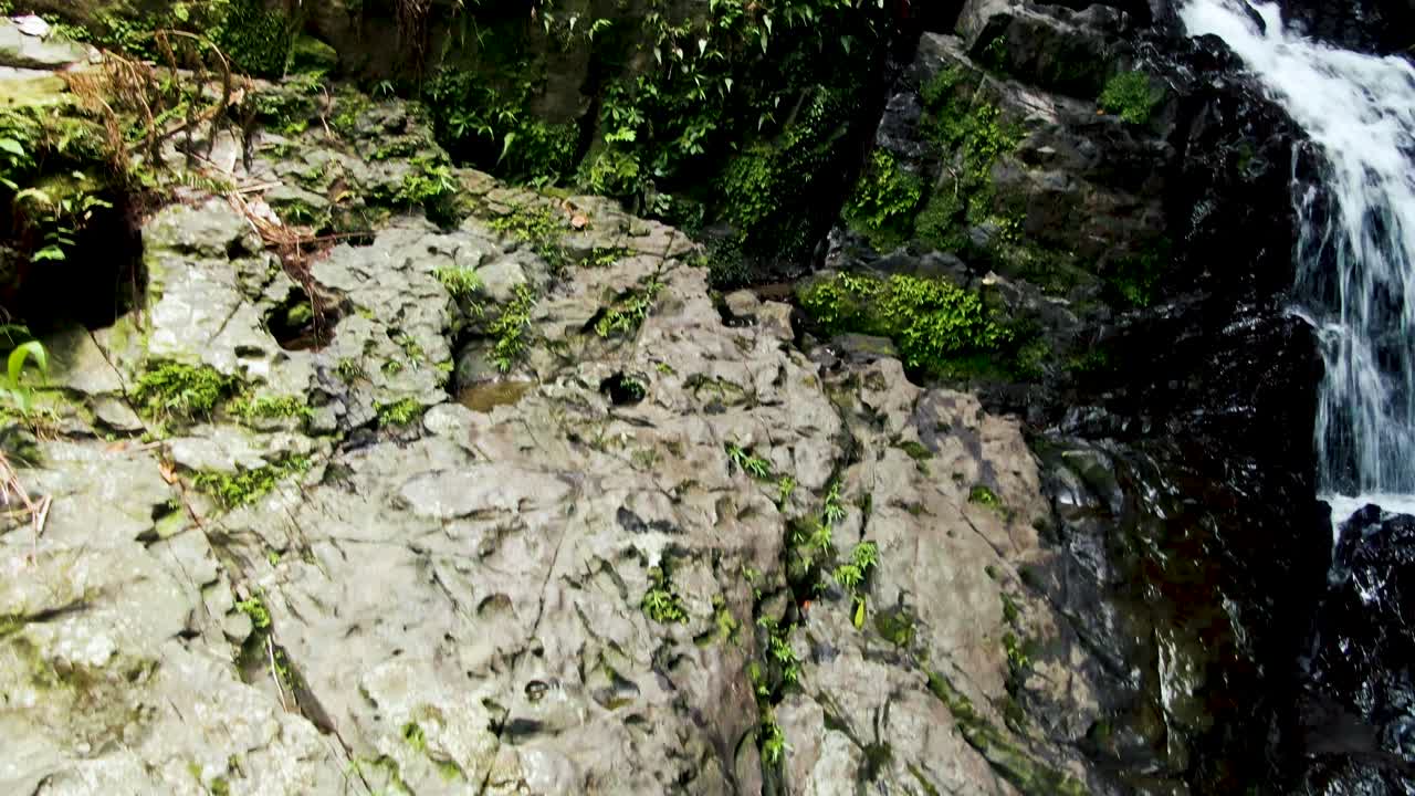 Moving close-up of the rocks near the waterfall. Park el Yunque. Puerto Rico