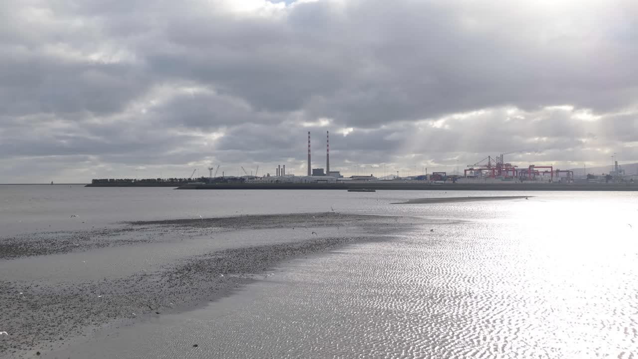 Seabirds Flying Over Seascape Overlooking Dublin Port Seaport Of Dublin, Ireland. Aerial Drone Shot