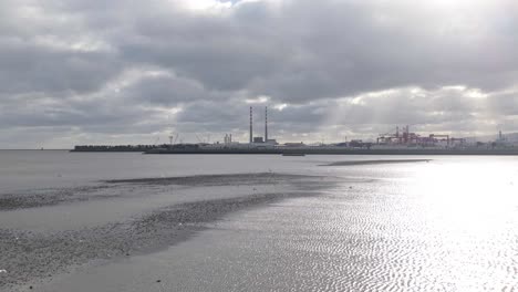 seabirds flying over seascape overlooking dublin port seaport of dublin, ireland. aerial drone shot