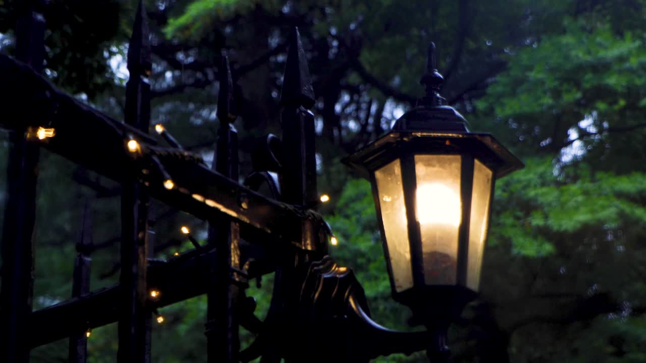 도쿄 최고의 전망