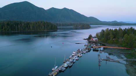 boats docked in marina of tofino, canada