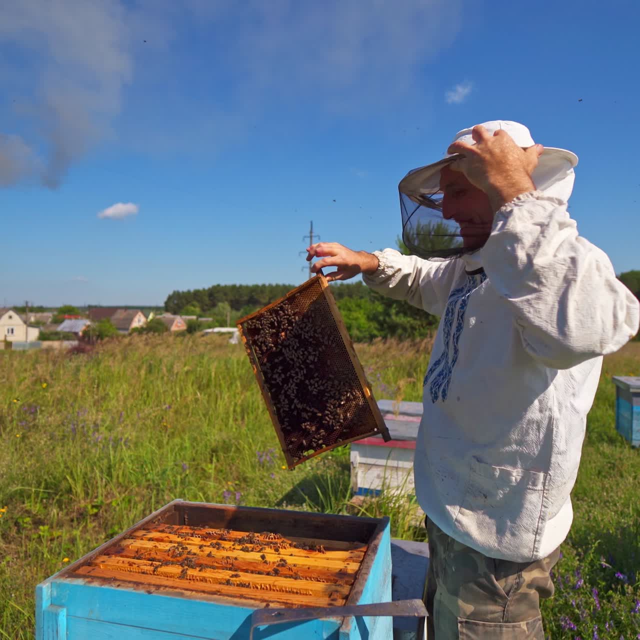 Apiarist inspecting bees among nature. Beekeeping process on industrial factory background in the countryside.