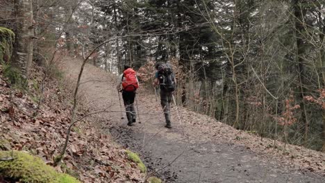 Two-young-millennial-backpackers-with-hiking-poles-trekking-on-nature-path