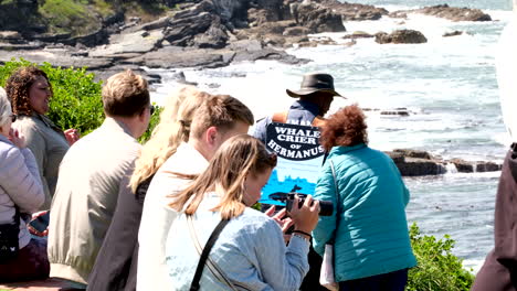 Group of Tourists on a Coastal Cliff Overlooking the Ocean