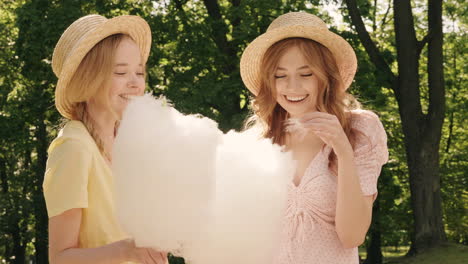 two girls enjoying cotton candy in a park