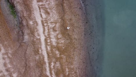 Person-walks-alone-along-beach-next-to-blue-water-waves-on-sand