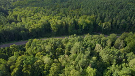 Vista-Aérea-De-Arriba-Hacia-Abajo-Del-Parque-Densamente-Forestal-Con-Carretera-En-Witomino,-Polonia