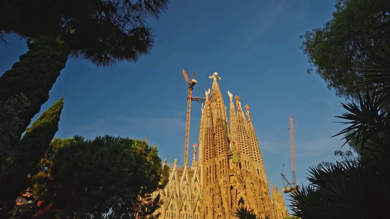 Basilica della Sagrada Familia incorniciata dagli alberi a Barcellona durante la luce dorata del tramonto