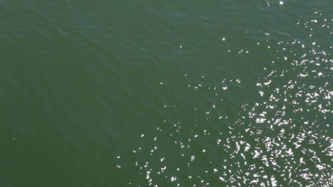 still water surface with reflections