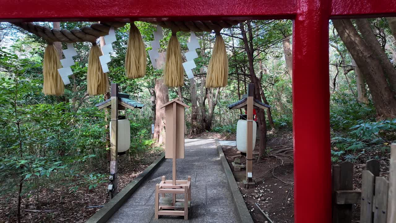 En gimbal-tur gennem en frodig skovsti, der passerer under en rød torii-port dekoreret med stråreb og hvide papirlanterner, førende til et lille alter.