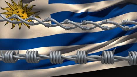 barbed wires against waving argentina flag