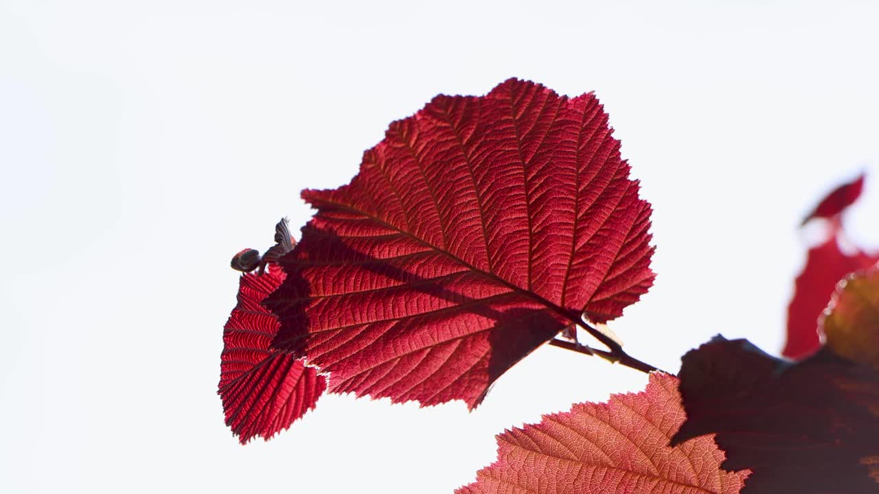 도쿄 최고의 전망