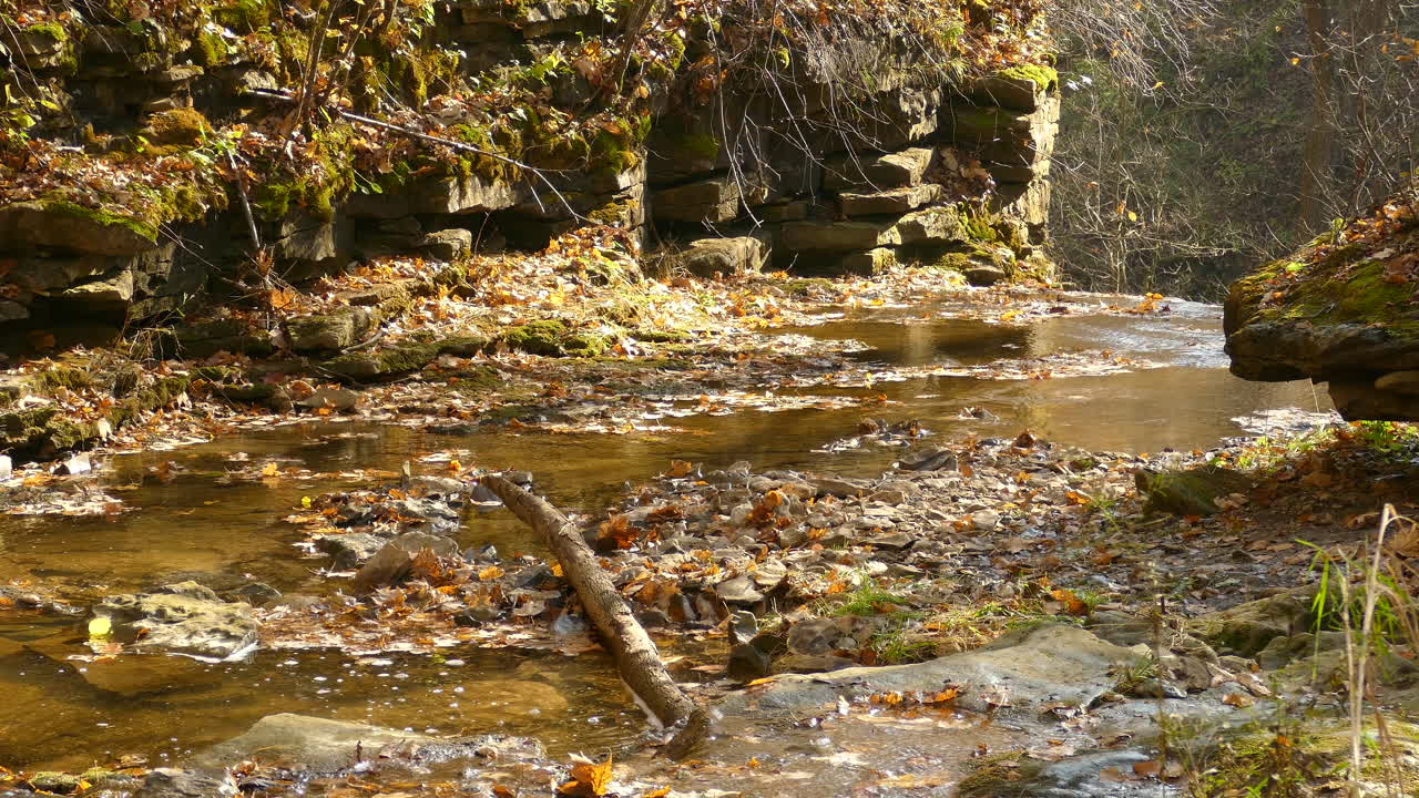 río tranquilo del bosque que fluye a través del paisaje rocoso en la temporada de otoño, vista estática