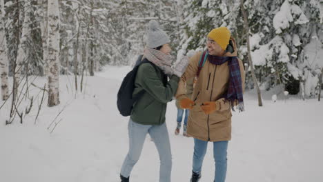 friends having fun in the snow