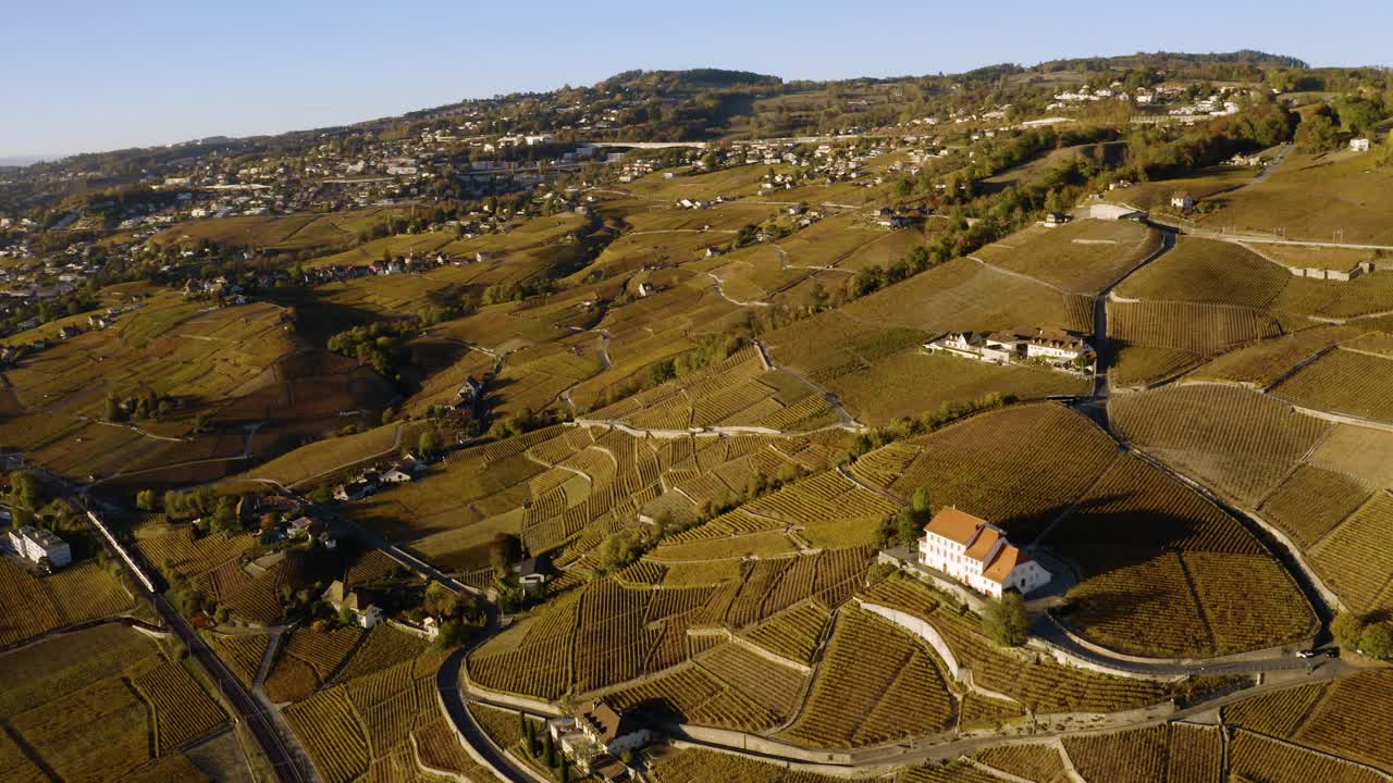 Panoramica aerea dall'alto su Lavaux e il Castello di Montagny