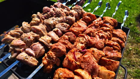 Close-up-pieces-of-meat-on-a-skewer-roasting,-grill-fire-at-sunny-green-garden