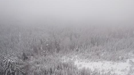Drone flyover, snow covered forest on mountain side, low level winter clouds
