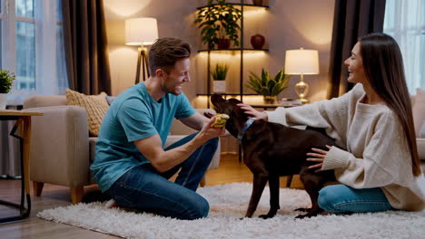 couple playing with their dog in the living room
