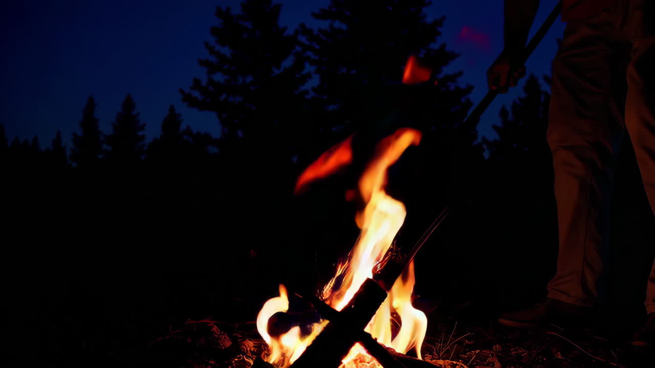 Campfire in the Night Forest