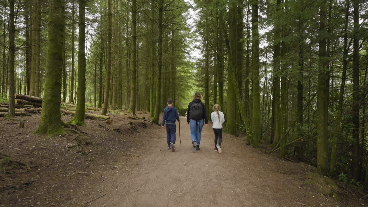 una caminata familiar en el bosque