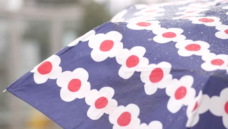 floral umbrella in the rain