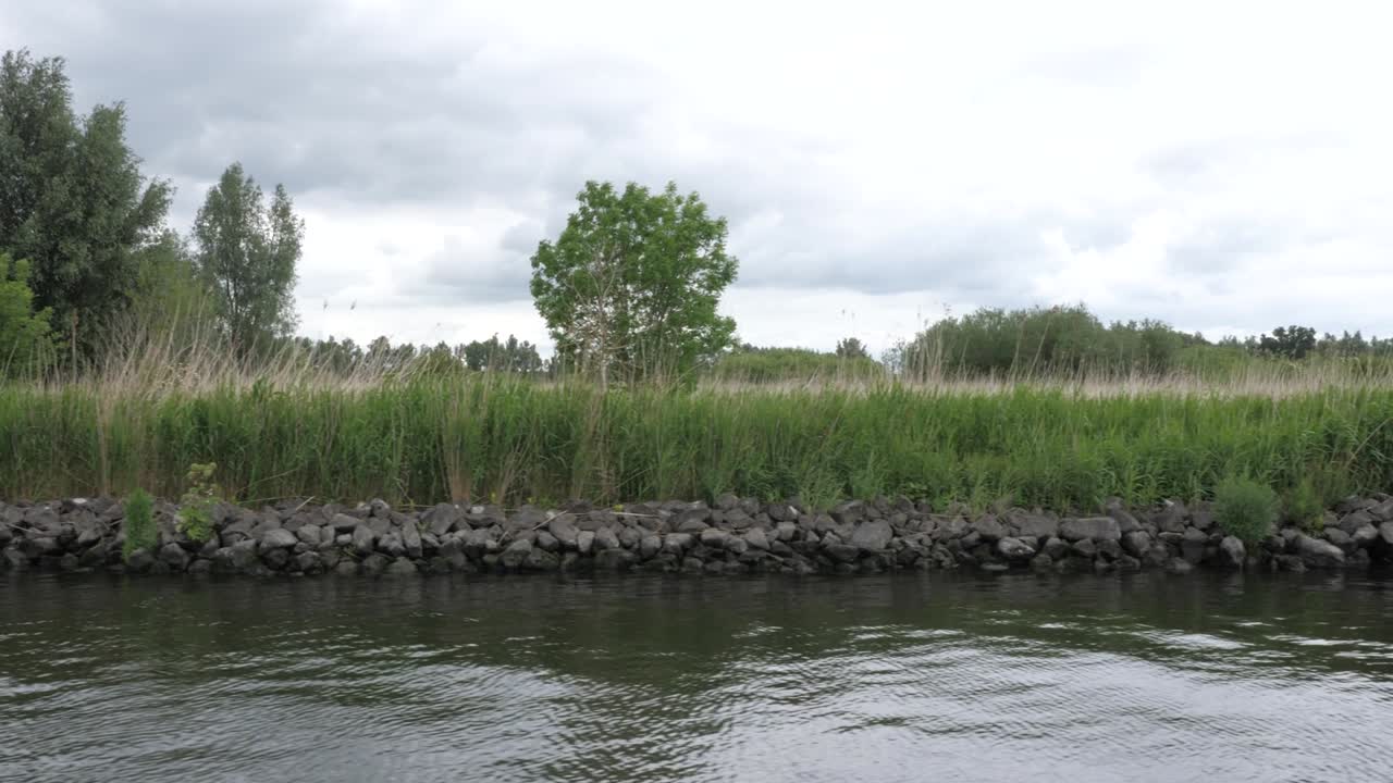 parque nacional de biesbosch en los países bajos, navegando por la naturaleza