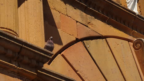 Taube-Auf-Historische-Kirche-Im-Nachmittagslicht-In-Barichara-Kolumbien