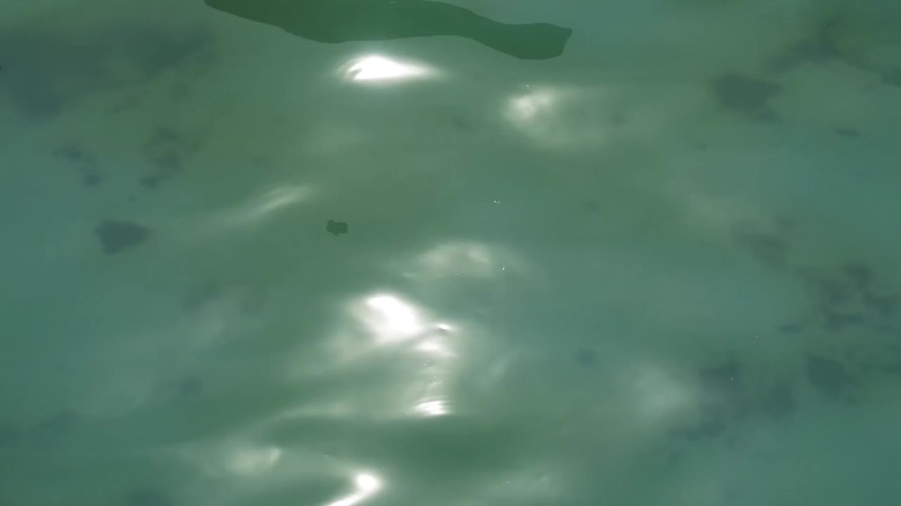 배경에 대한 hd 비디오 물 표면