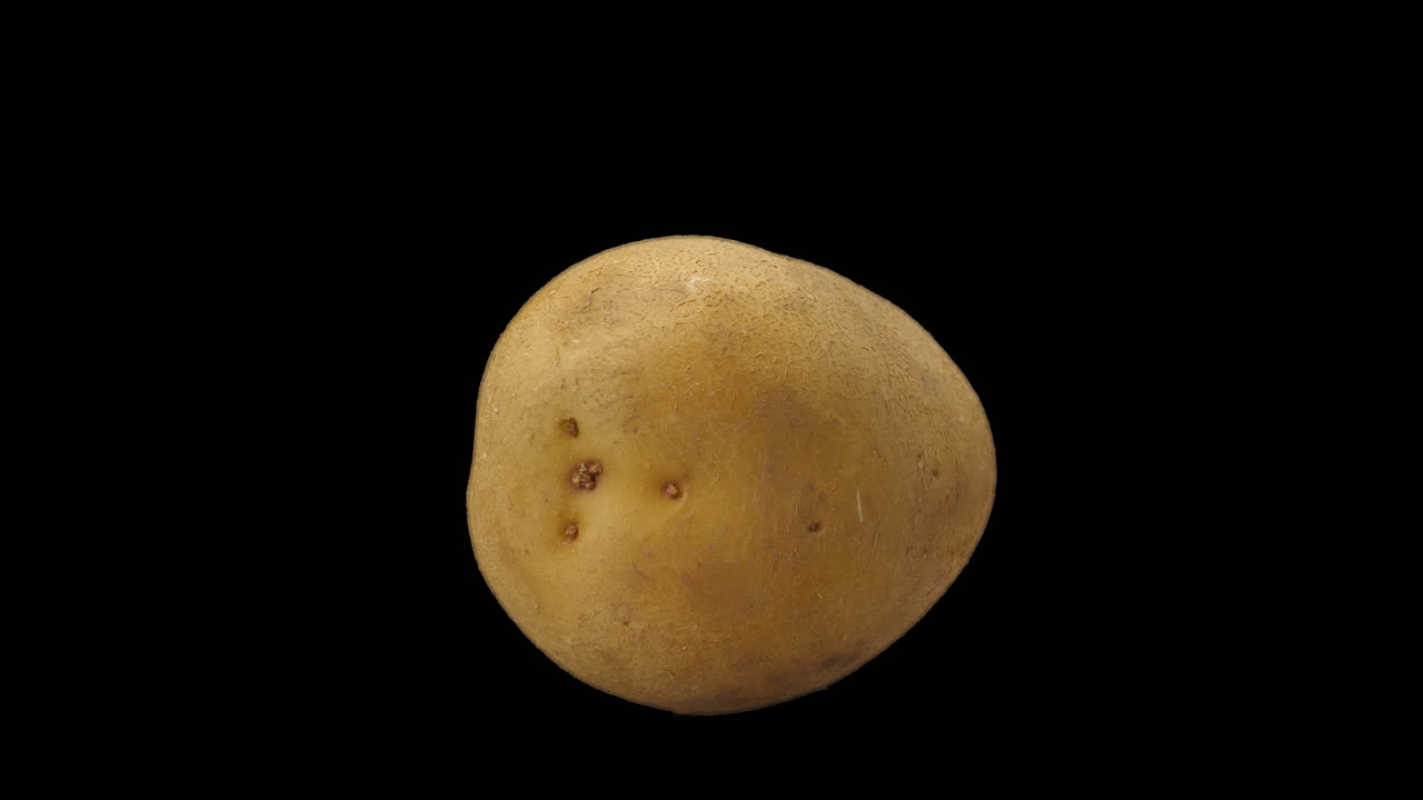 Realistic Fresh Potato Rotating With Alpha Channel, Video In 4K