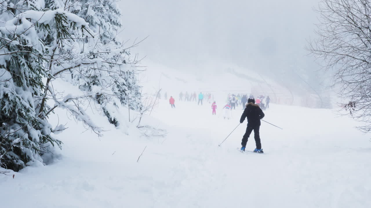 Skiing in a Winter Wonderland
